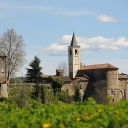 Sale delle Langhe - Panorama
